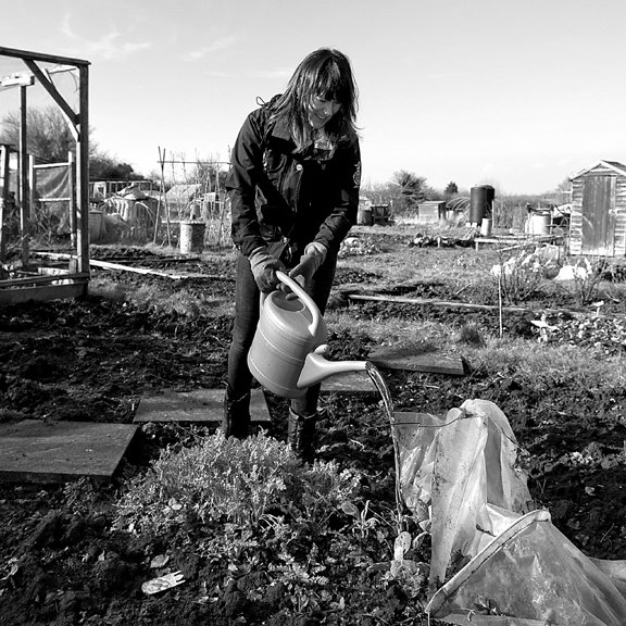 Portraits Tableau Photography